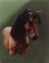 Portrait by Kim McElroy